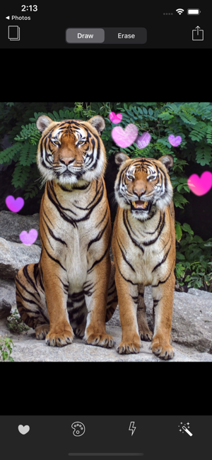 Real Bokeh Screenshot