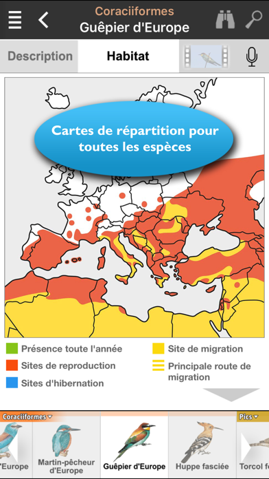 Screenshot #2 pour Oiseaux d’Europe