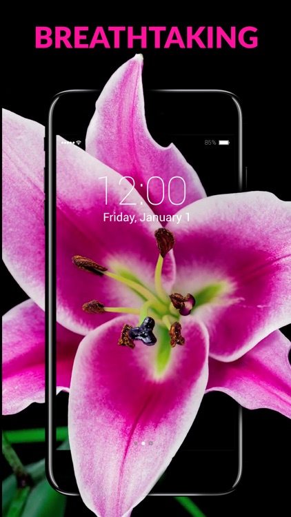 Live Wallpaper HD for iPhone screenshot-0