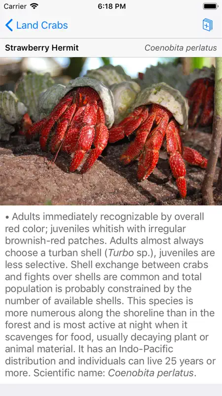 Palmyra Atoll Nature Guide screenshot 5 of 7