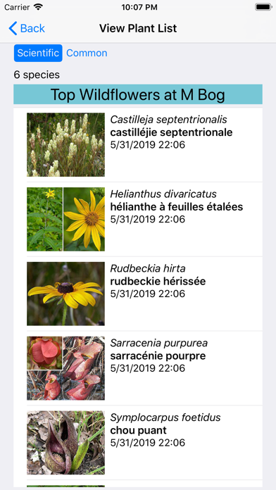Quebec Wildflowers Screenshot