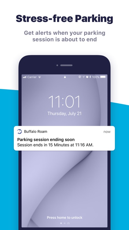 Buffalo Roam screenshot-3