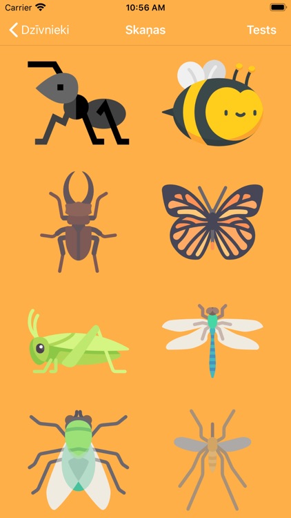 Recognizing - Listen Sounds