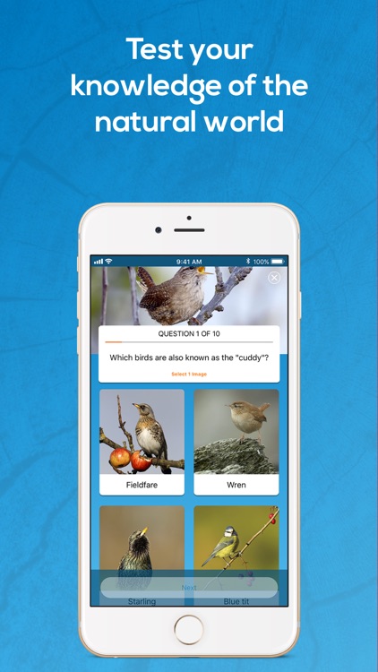 Giving Nature a Home