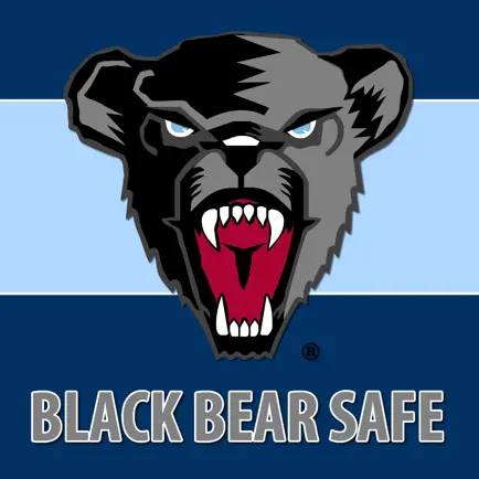 Black Bear Safe Cheats