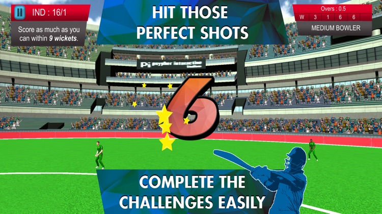 The Zoya Factor Official Game