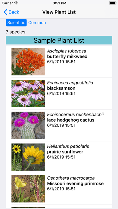West Texas Wildflowers Screenshot