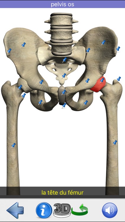 Anatomie Visuel screenshot-5