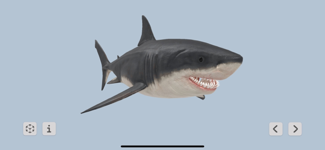 ‎Megalodon Screenshot