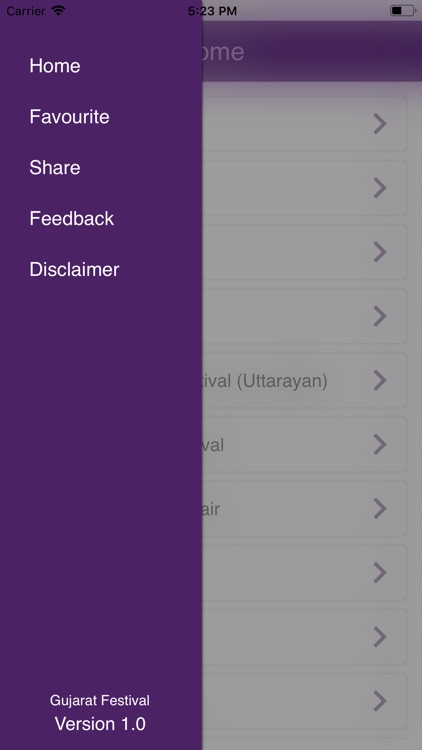 Gujarat Festival screenshot-4