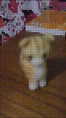 Game screenshot pixelizer apk