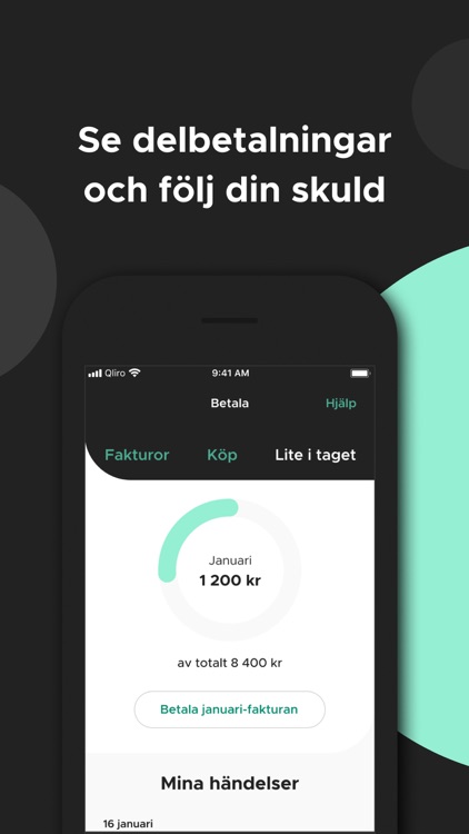 Qliro screenshot-3