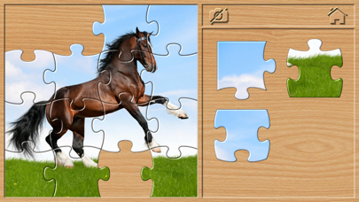 Animal Puzzle for Toddlers 3+ Screenshot