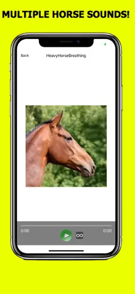 Game screenshot Horse Sounds+ Horse Soundboard hack