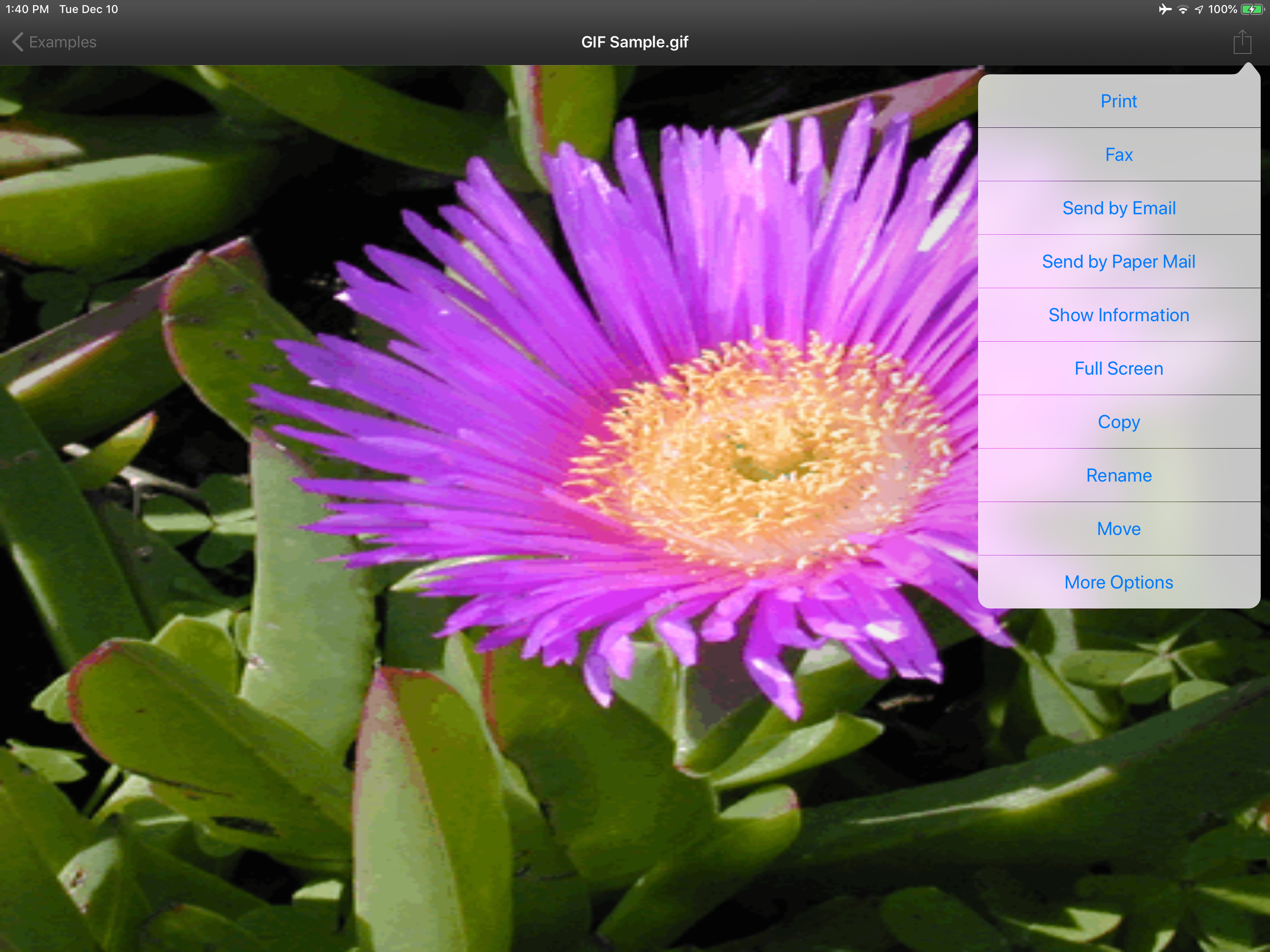 MobileToolz™ Pro - for iPad screenshot 3