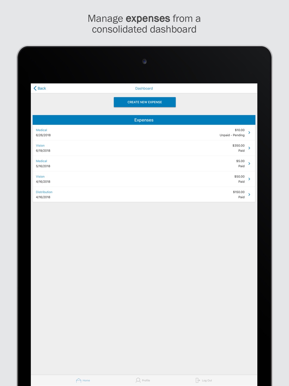 iPad screenshot