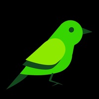 Loro Bird pour PC