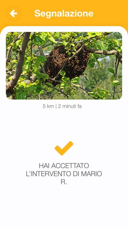 SciaMap screenshot-3