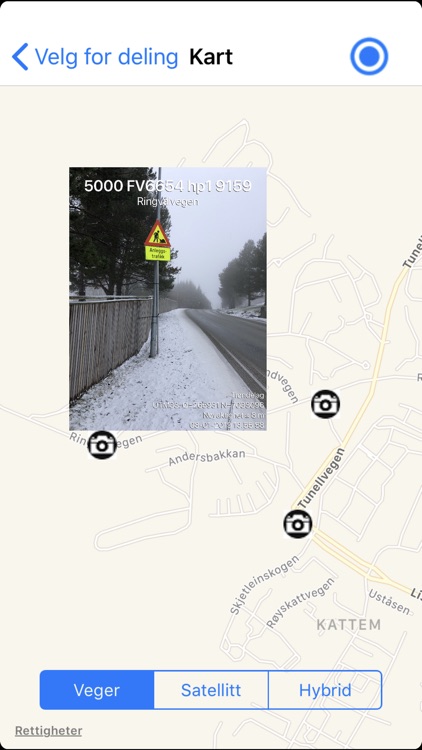 VegViseren screenshot-4