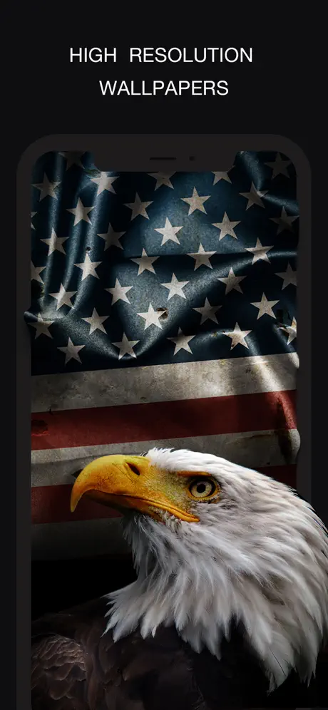 24KLiveWallpapers