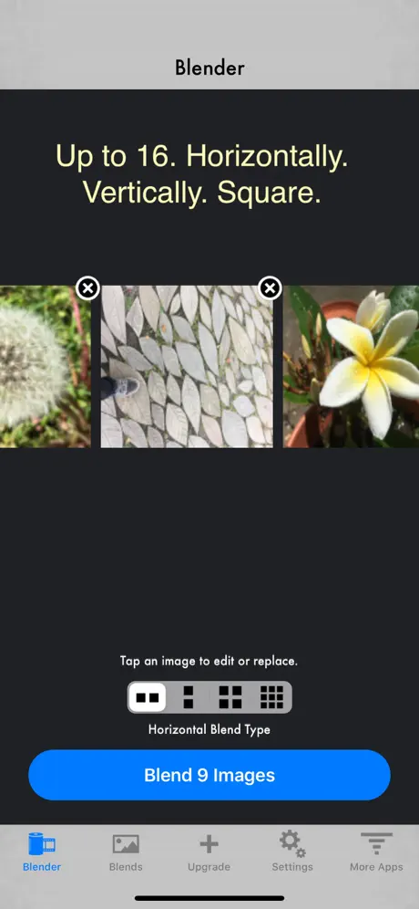 Photo Blender