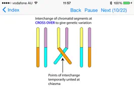 Game screenshot Embryology Lectures mod apk