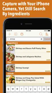 recipe gallery iphone screenshot 2