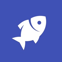 Improv Tilapia pour PC