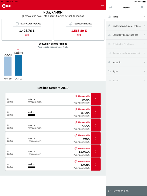 Screenshot #5 pour Bilbao UdalTax