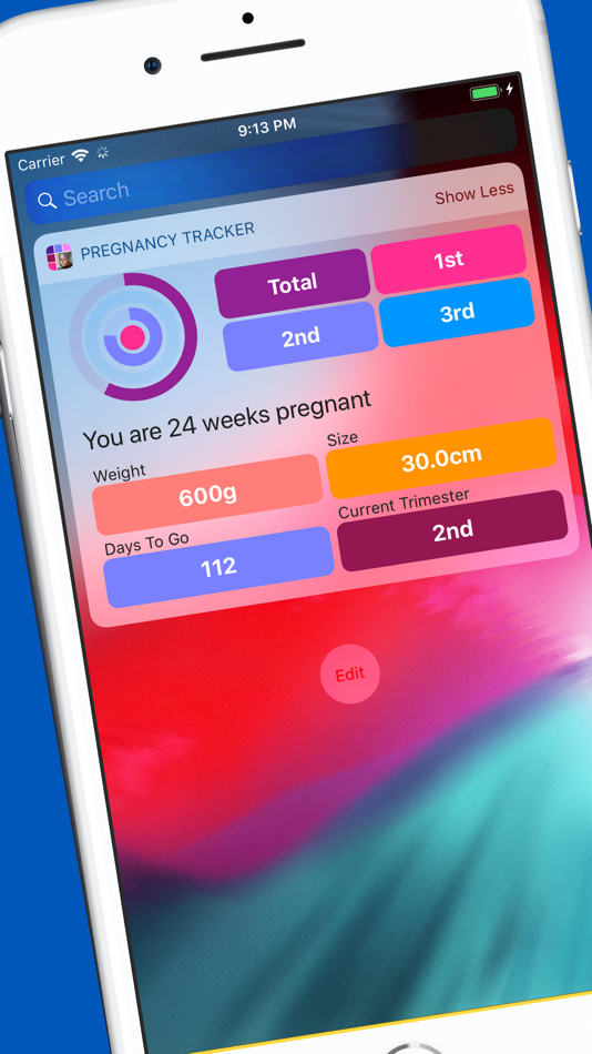 Pregnancy Tracker Your Journey - 1.3 - (iOS)