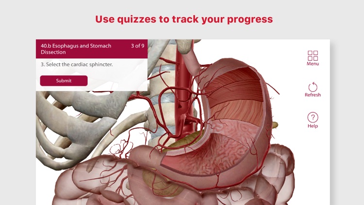 Anatomy & Physiology screenshot-4