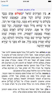 esh shulhan aruch iphone screenshot 1