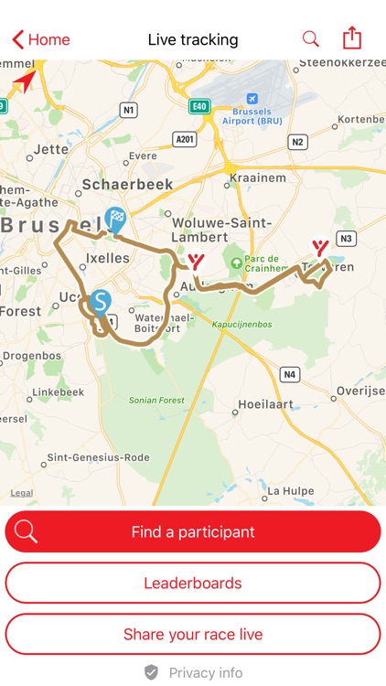 Brussels Marathon 2019