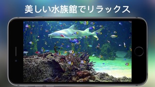 ライブ壁紙、ダイナミックな背景の天気予報、水族館と暖炉のおすすめ画像5