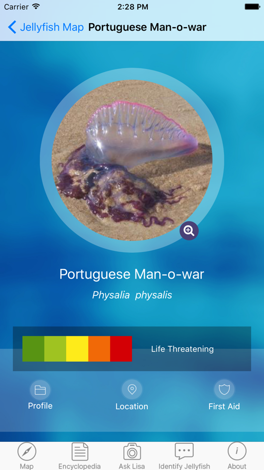 #2. The Jellyfish App Pro (iOS) 由: The Jellyfish App Pty Ltd