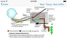 Game screenshot Anatomy Topics in Focus mod apk