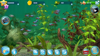 Fish Farm 3 - Aquarium Screenshot