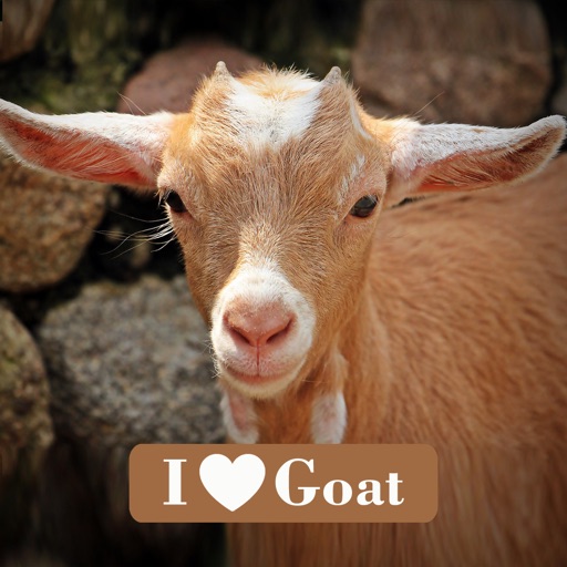 ILoveGoat