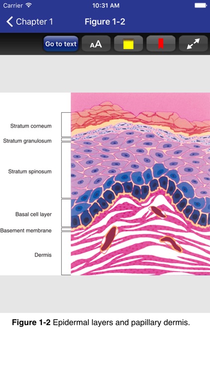 Dermatology Secrets Plus, 5/E screenshot-3