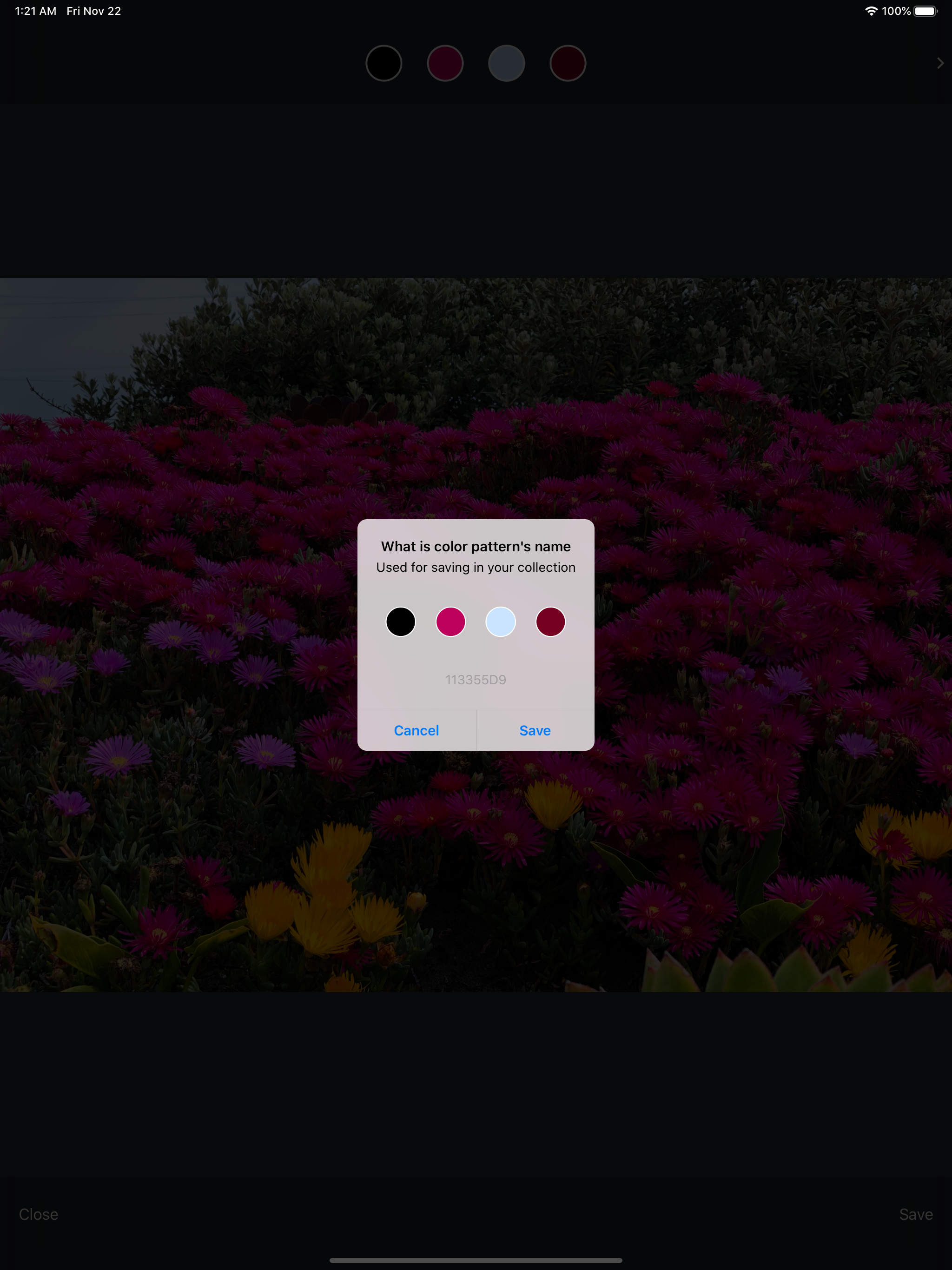 Color Palettes Generator