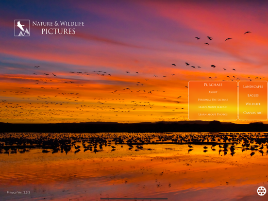 Nature and Wildlife Pictures iPad screenshot 1 - Photo & Video app