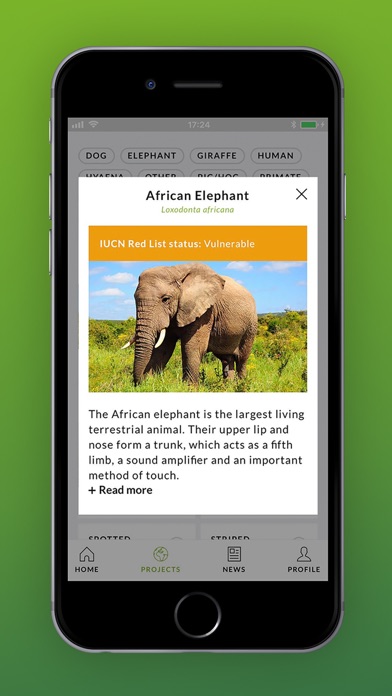 ZSL Instant Wild Screenshot
