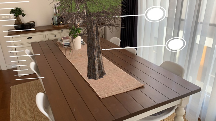 Coast Redwood Canopy screenshot-0