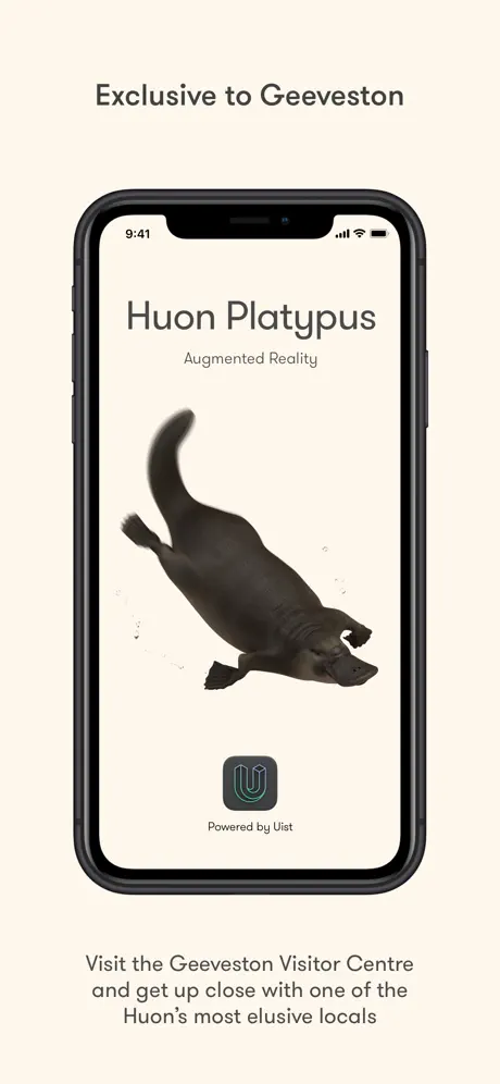 Huon Platypus
