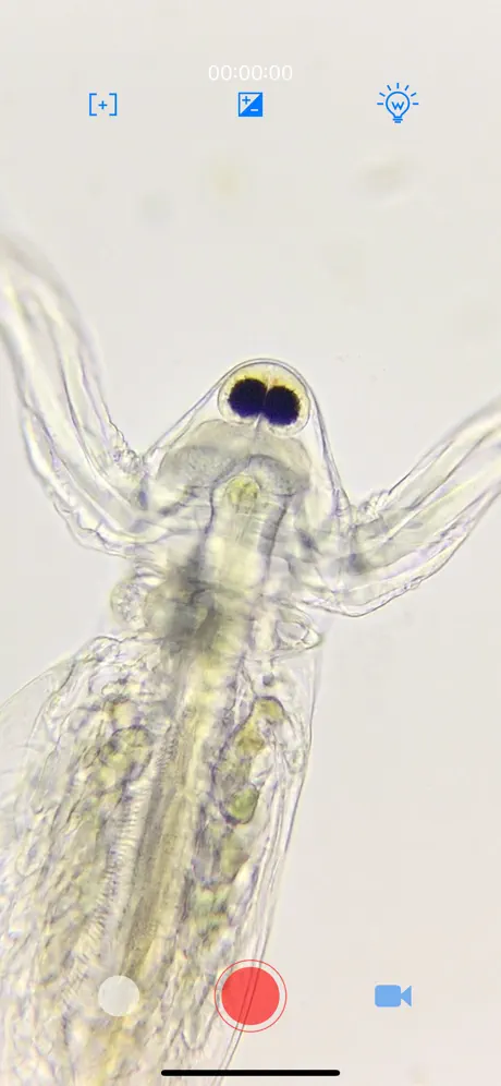 mScopePal
