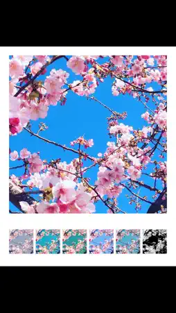 Filter Collage Maker screenshot 3