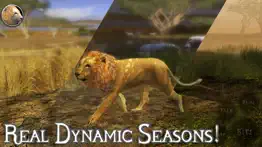 ultimate lion simulator 2 iphone capturas de pantalla 4