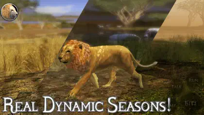 Screenshot 4 von 5 zu Ultimate Lion Simulator 2