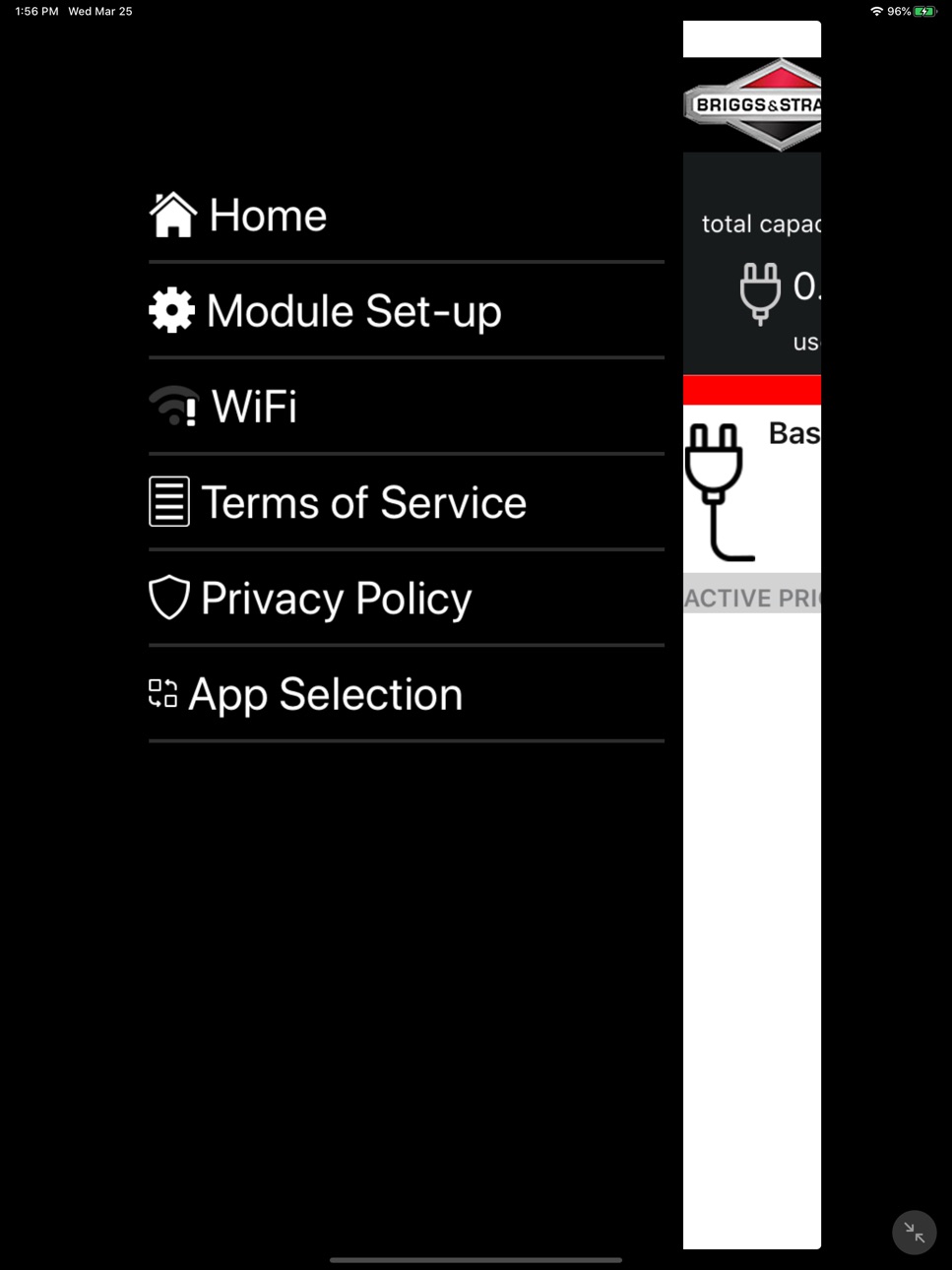 iPad screenshot