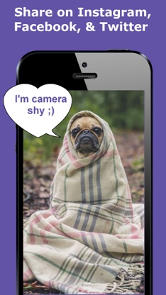 Bubbled - Photo Editor screenshot 2